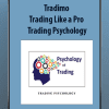 Trading Like a Pro – Trading Psychology - Tradimo