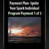 Ignite Your Spark Individual Program-Payment 1 of 3 - Payment Plan