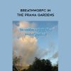 Dan Brule – Breathworfc in the Prana Gardens