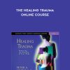 [Download Now] Peter A. Levine - The Healing Trauma Online Course