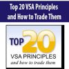 [Download Now] Top 20 VSA Principles & How to Trade Them