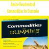 Amine Bouchentouf – Commodities for Dummies