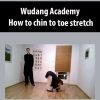 [Download Now] Wudang Academy - How to chin to toe stretch