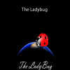 Hugo Valenzuela – The Ladybug