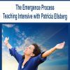 The Emergence Process Teaching Intensive with Patricia Ellsberg