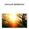 [Download Now] TJ Nelson - Dominate depression