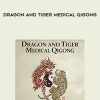 [Download Now] Bruce Frantzis – Dragon and Tiger Medical Qigong