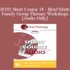 [Audio] BT02 Short Course 18 - Brief Multi-Family Group Therapy Workshops: A New Solution for Our Times - Charles Bruder