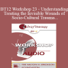 [Audio] BT12 Workshop 23 - Understanding & Treating the Invisible Wounds of Socio-Cultural Trauma - Kenneth Hardy
