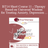 [Audio] BT14 Short Course 11 - Therapy Based on Universal Wisdom for Treating Anxiety