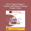 [Audio] BT16 Topical Panel 5 - Family and Marital Therapy - Lynn Lyons