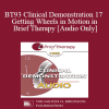 [Audio] BT93 Clinical Demonstration 17 - Getting Wheels in Motion in Brief Therapy - Stephen Lankton
