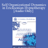 [Audio] EP95 Invited Address 04b - Self Organizational Dynamics in Ericksonian Hypnotherapy - Ernest Rossi