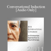 [Audio] IC11 Dialogue 06 - Conversational Induction - Rubin Battino
