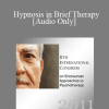 [Audio] IC11 Topical Panel 05 - Hypnosis in Brief Therapy - Douglas Flemons