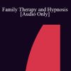 [Audio] IC86 Clinical Demonstration 06 - Family Therapy and Hypnosis - Stephen R Lankton