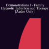 [Audio] IC92 Workshop 13a - Demonstrations I - Family Hypnotic Induction and Therapy - Camillo Loriedo