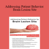 Jerome Quellier - Addressing Patient Behavior by Brain Lesion Site: Clinical Tools & Strategies Specific to Patient Deficits