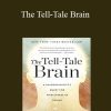 V S Ramachandran - The Tell-Tale Brain