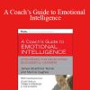 James Bradford Terrell and Marcia Hughes - A Coach’s Guide to Emotional Intelligence